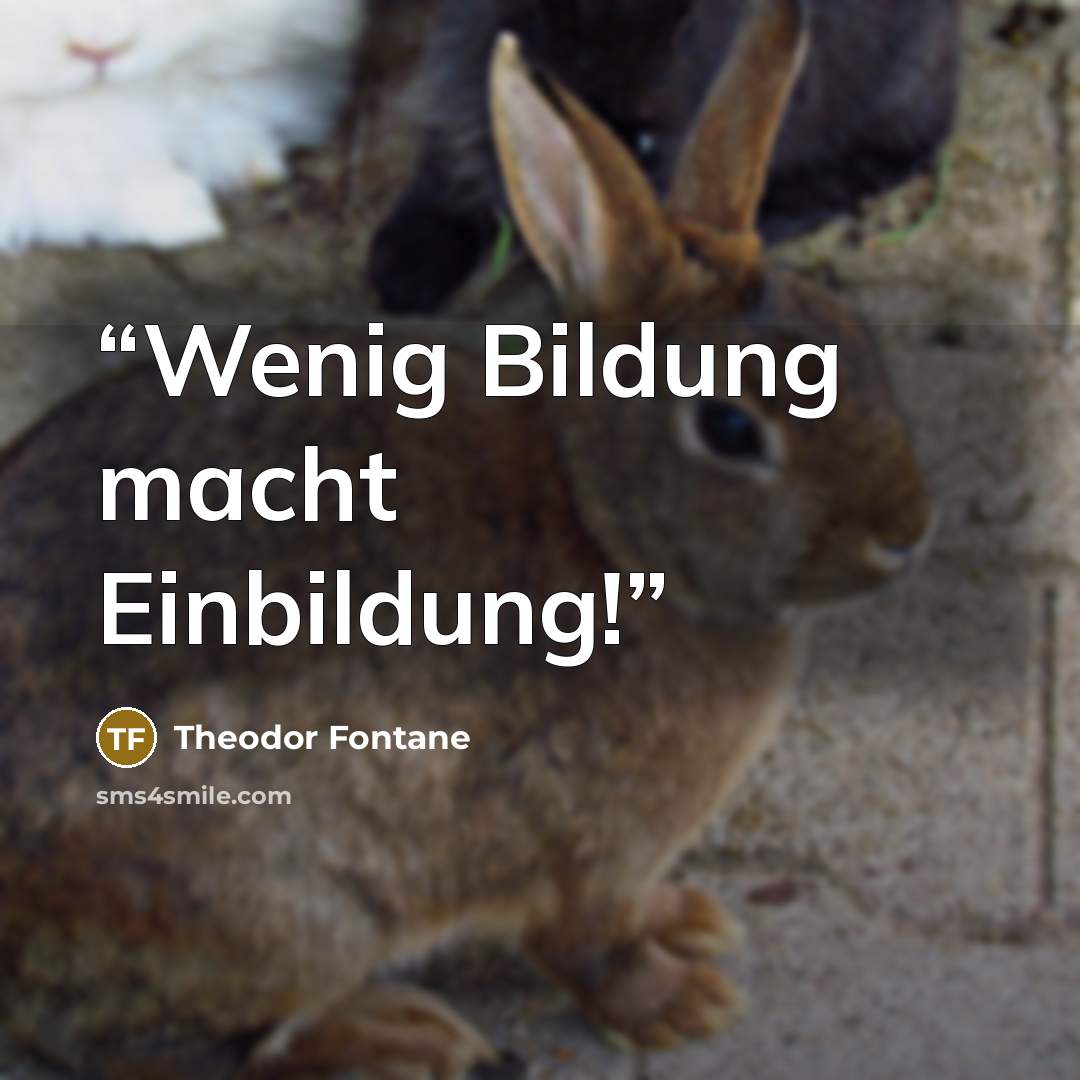 “Wenig Bildung macht Einbildung!” quote by Theodor Fontane