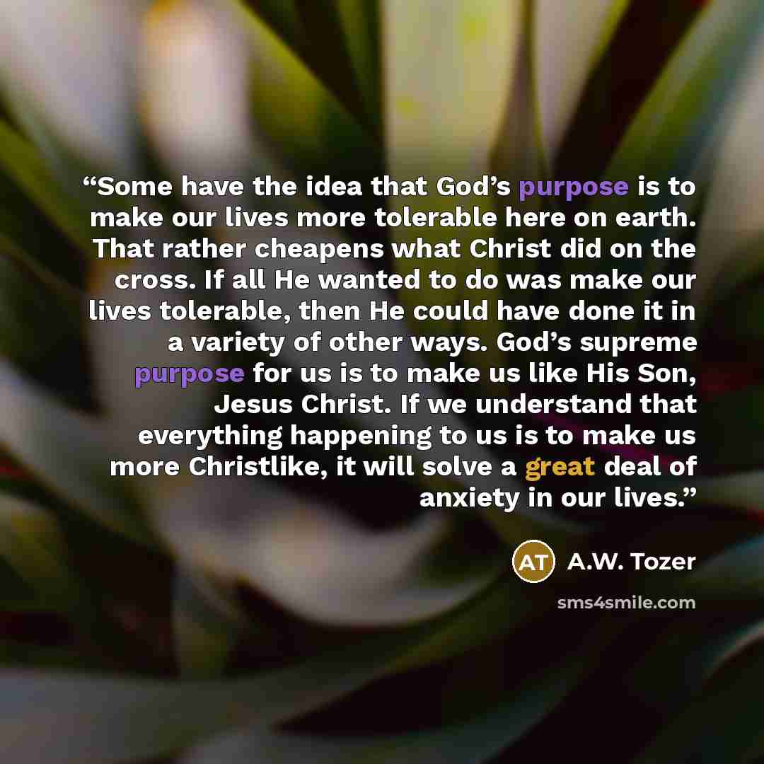 “Some have the idea that God’s purpose is to make our lives more tolerable here on earth. That rather cheapens what Christ did on the cross. If all He wanted to do was make our lives tolerable, then He could have done it in a variety of other ways. God’s supreme purpose for us is to make us like…” quote by A.W. Tozer