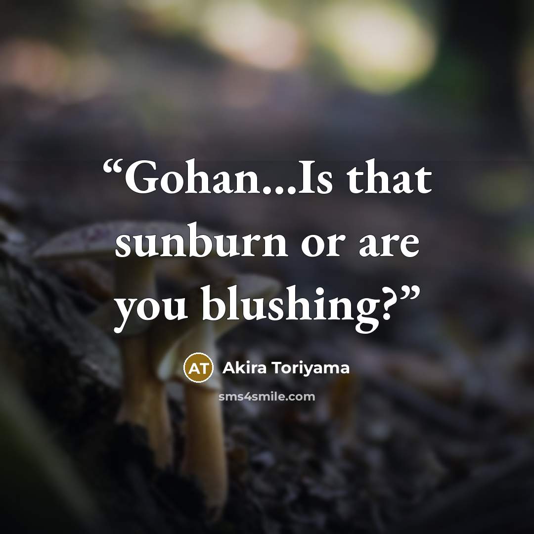 “Gohan...Is that sunburn or are you blushing?” quote by Akira Toriyama
