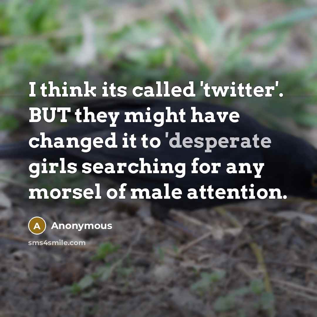 “I think its called 'twitter'. BUT they might have changed it to 'desperate girls searching for any morsel of male attention.” quote by Anonymous