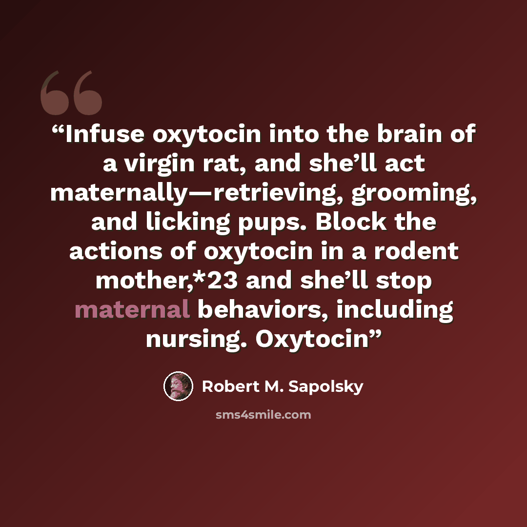 “Infuse oxytocin into the brain of a virgin rat, and she’ll act maternally—retrieving, grooming, and licking pups. Block the actions of oxytocin in a rodent mother,*23 and she’ll stop maternal behaviors, including nursing. Oxytocin” quote by Robert M. Sapolsky
