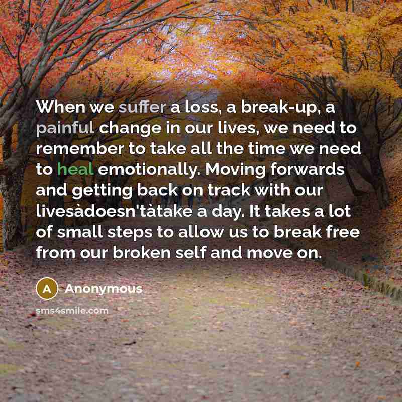 “When we suffer a loss, a break-up, a painful change in our lives, we need to remember to take all the time we need to heal emotionally. Moving forwards and getting back on track with our livesàdoesn'tàtake a day. It takes a lot of small steps to allow us to break free from our broken self and move…” quote by Anonymous