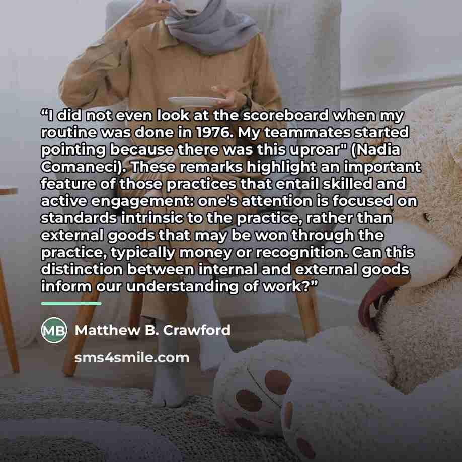 “I did not even look at the scoreboard when my routine was done in 1976. My teammates started pointing because there was this uproar" (Nadia Comaneci). These remarks highlight an important feature of those practices that entail skilled and active engagement: one's attention is focused on standards…” quote by Matthew B. Crawford