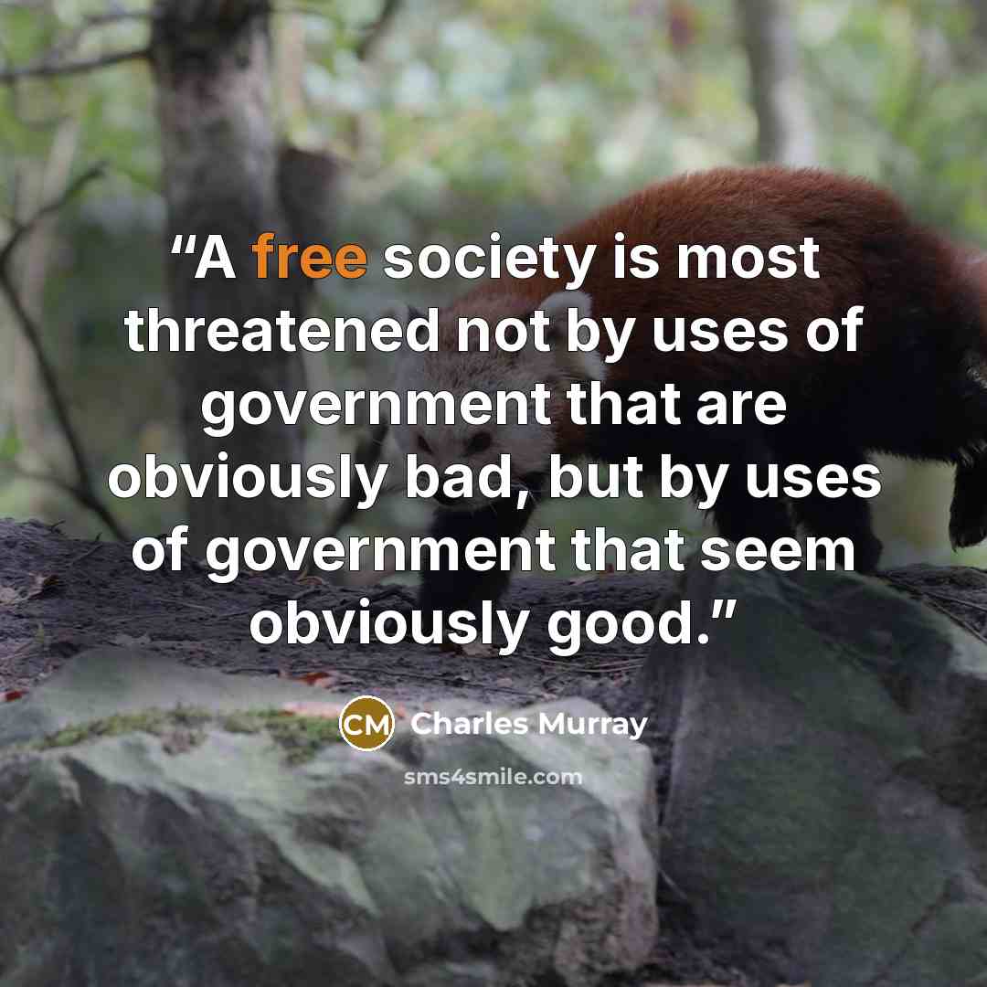 “A free society is most threatened not by uses of government that are obviously bad, but by uses of government that seem obviously good.” quote by Charles Murray