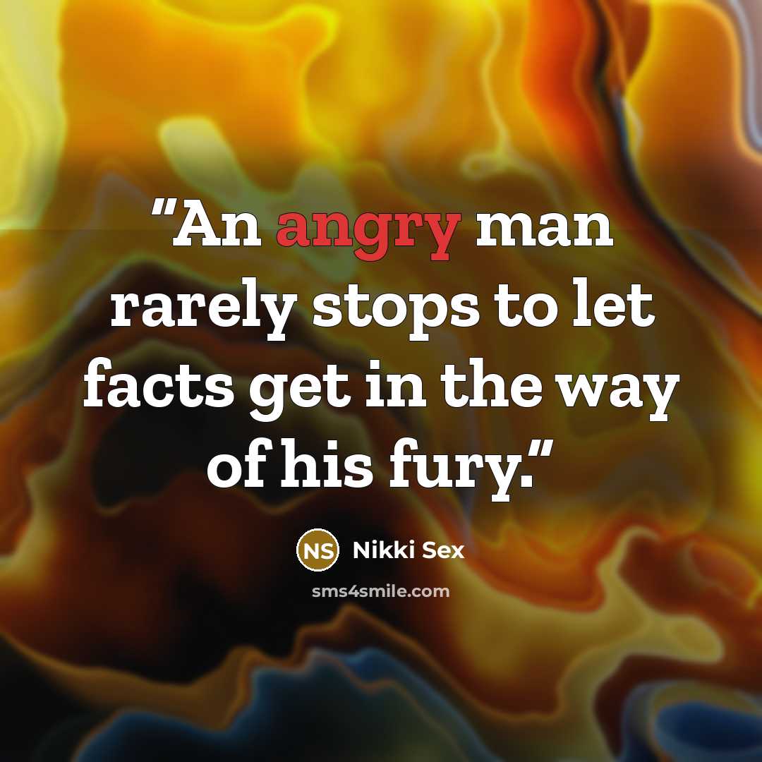 “An angry man rarely stops to let facts get in the way of his fury.” quote by Nikki Sex