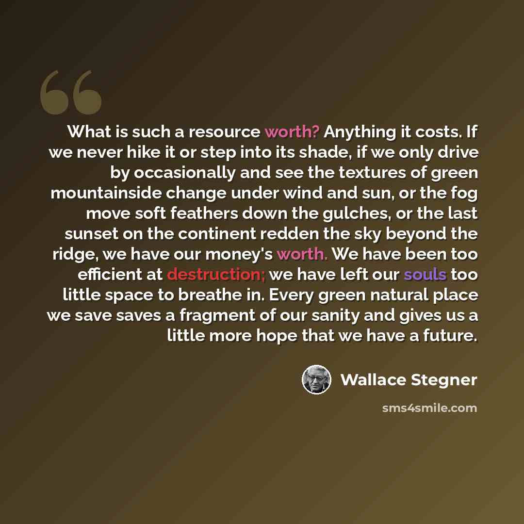 “What is such a resource worth? Anything it costs. If we never hike it or step into its shade, if we only drive by occasionally and see the textures of green mountainside change under wind and sun, or the fog move soft feathers down the gulches, or the last sunset on the continent redden the sky…” quote by Wallace Stegner