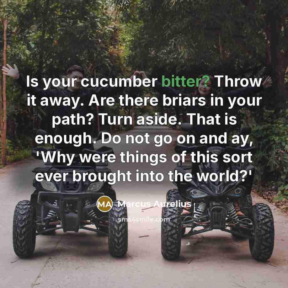 “Is your cucumber bitter? Throw it away. Are there briars in your path? Turn aside. That is enough. Do not go on and ay, 'Why were things of this sort ever brought into the world?'” quote by Marcus Aurelius