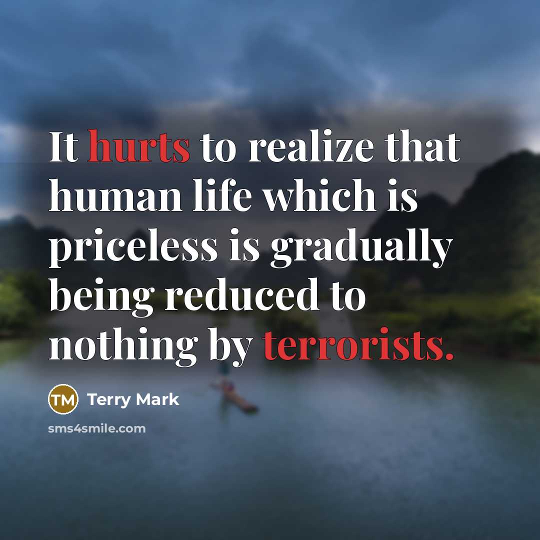 “It hurts to realize that human life which is priceless is gradually being reduced to nothing by terrorists.” quote by Terry Mark