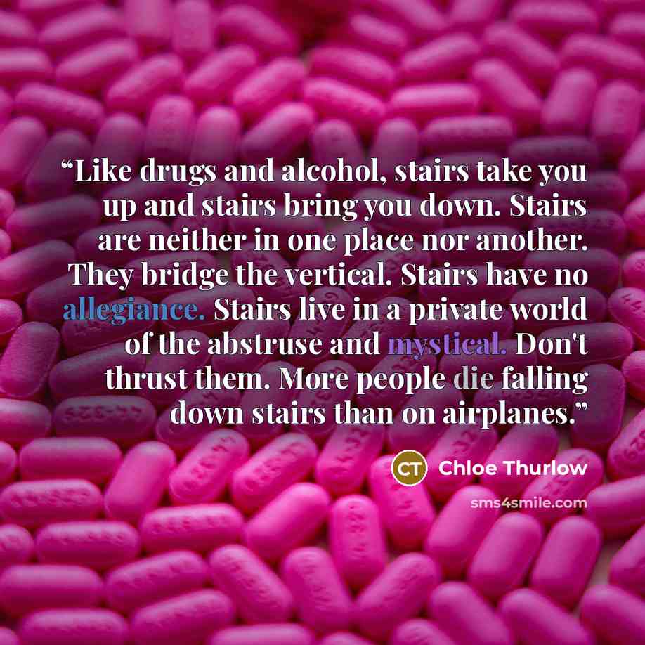 “Like drugs and alcohol, stairs take you up and stairs bring you down. Stairs are neither in one place nor another. They bridge the vertical. Stairs have no allegiance. Stairs live in a private world of the abstruse and mystical. Don't thrust them. More people die falling down stairs than on…” quote by Chloe Thurlow