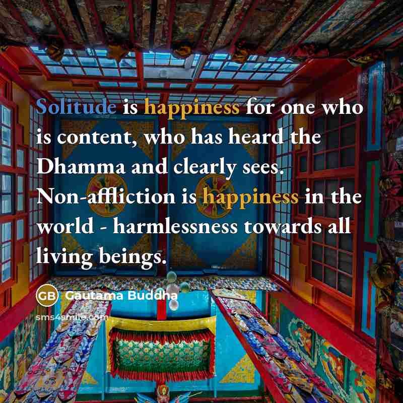 “Solitude is happiness for one who is content, who has heard the Dhamma and clearly sees. Non-affliction is happiness in the world - harmlessness towards all living beings.” quote by Gautama Buddha