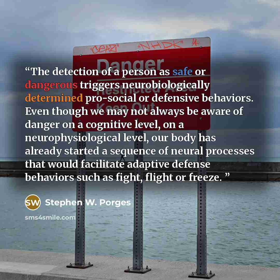 “The detection of a person as safe or dangerous triggers neurobiologically determined pro-social or defensive behaviors. Even though we may not always be aware of danger on a cognitive level, on a neurophysiological level, our body has already started a sequence of neural processes that would…” quote by Stephen W. Porges