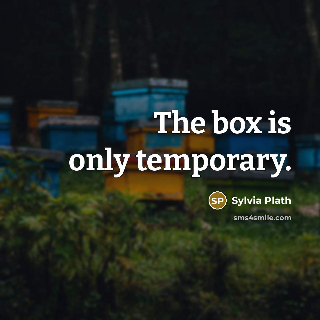 “The box is only temporary.” quote by Sylvia Plath