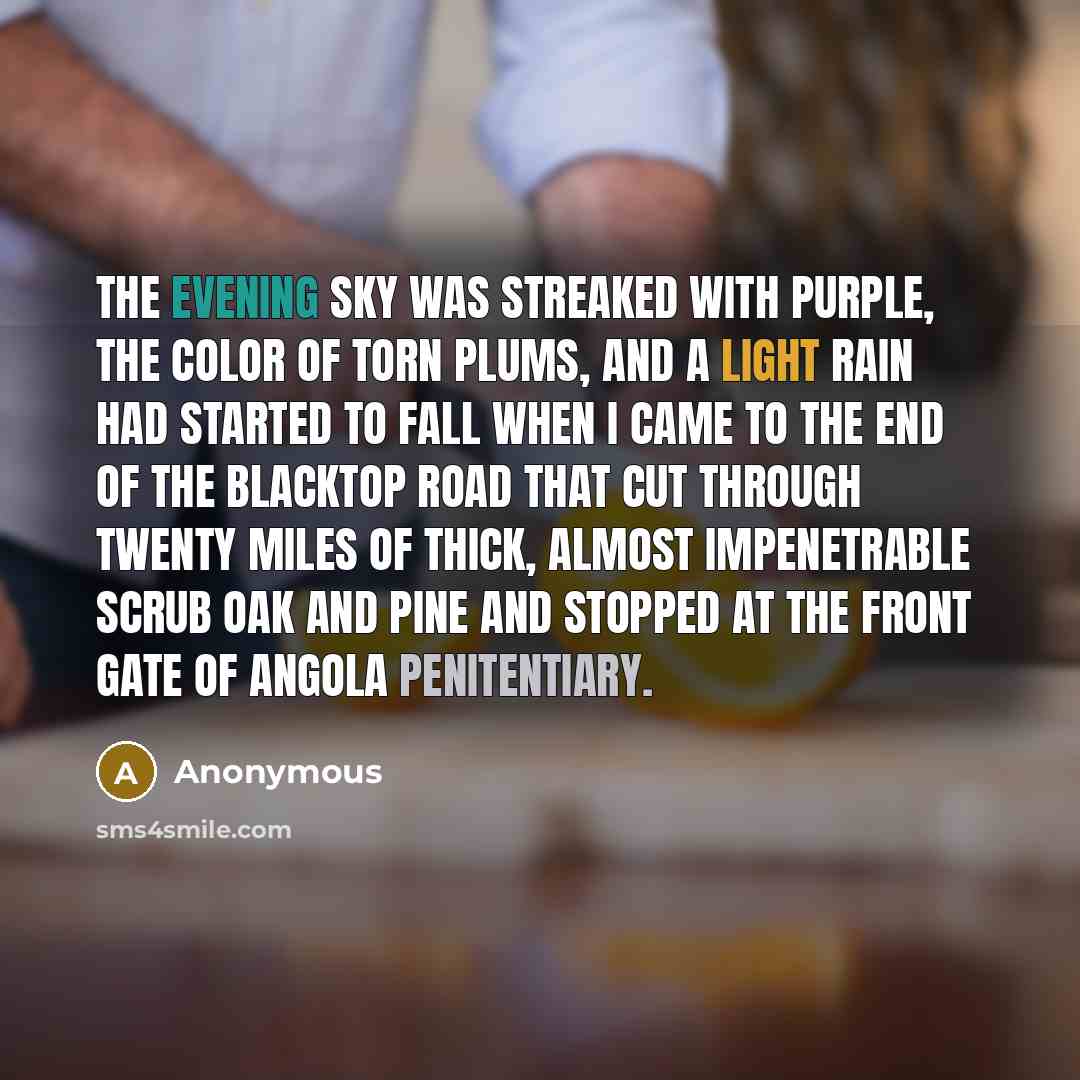 “The evening sky was streaked with purple, the color of torn plums, and a light rain had started to fall when I came to the end of the blacktop road that cut through twenty miles of thick, almost impenetrable scrub oak and pine and stopped at the front gate of Angola penitentiary.” quote by Anonymous