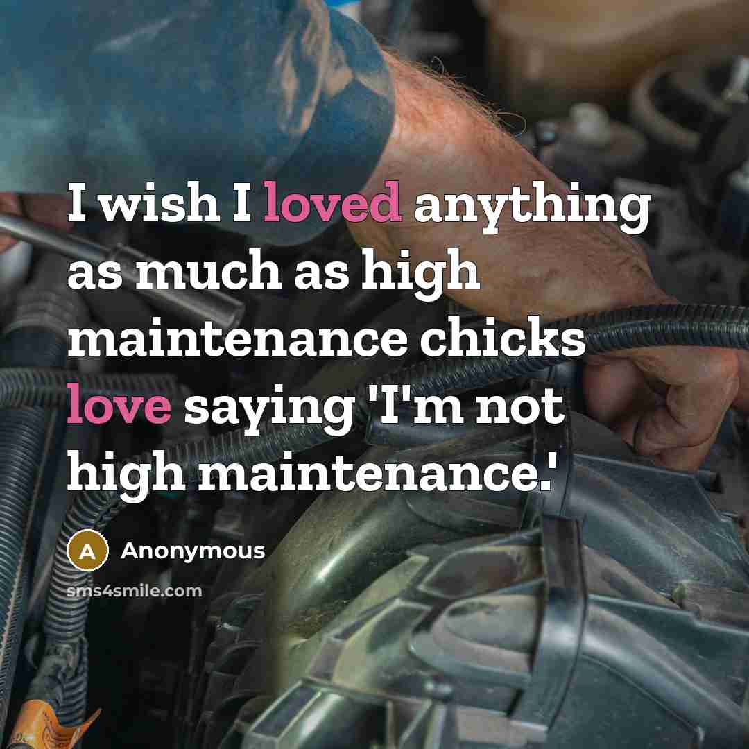 “I wish I loved anything as much as high maintenance chicks love saying 'I'm not high maintenance.'” quote by Anonymous