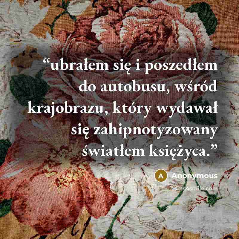 “ubrałem się i poszedłem do autobusu, wśród krajobrazu, który wydawał się zahipnotyzowany światłem księżyca.” quote by Anonymous