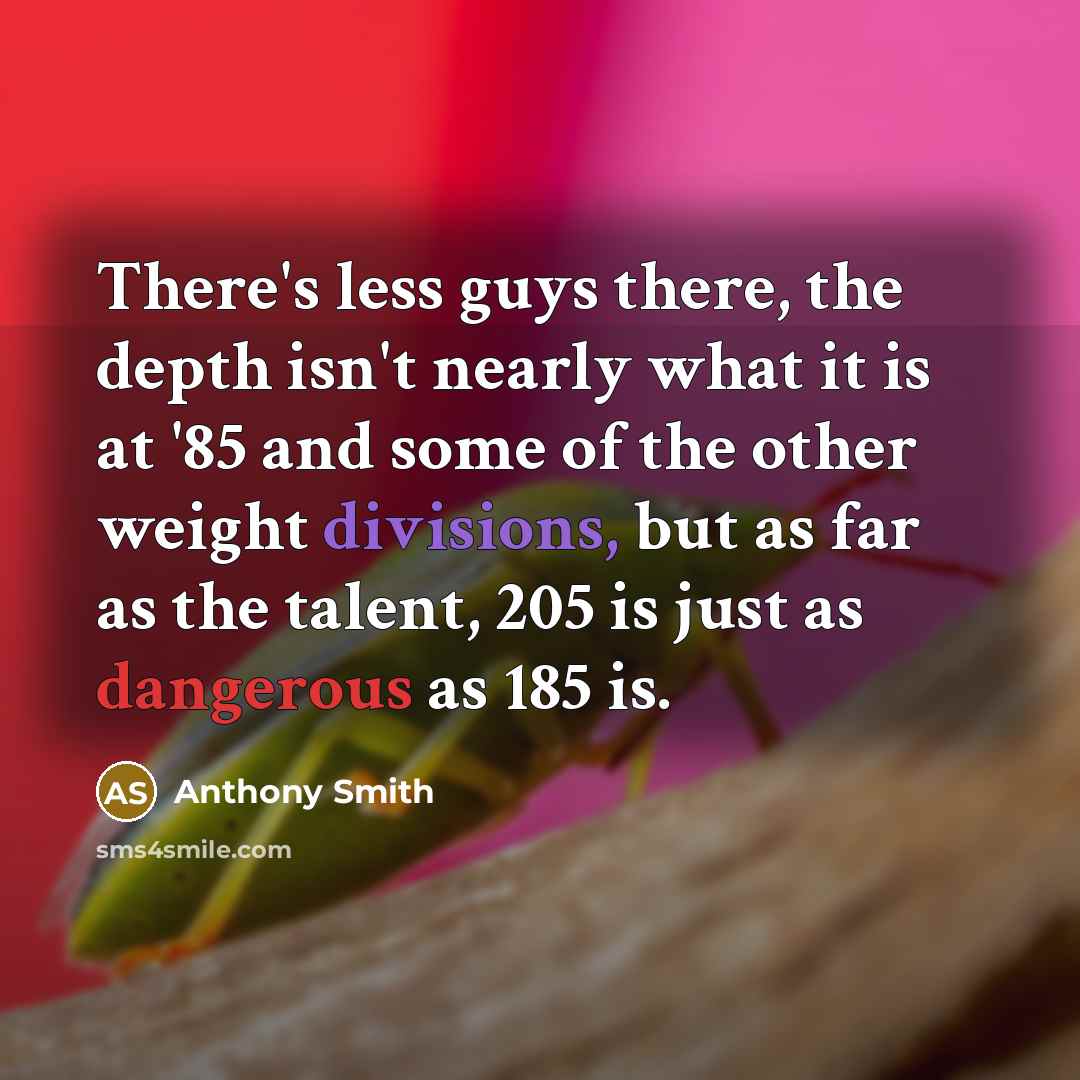 “There's less guys there, the depth isn't nearly what it is at '85 and some of the other weight divisions, but as far as the talent, 205 is just as dangerous as 185 is.” quote by Anthony Smith