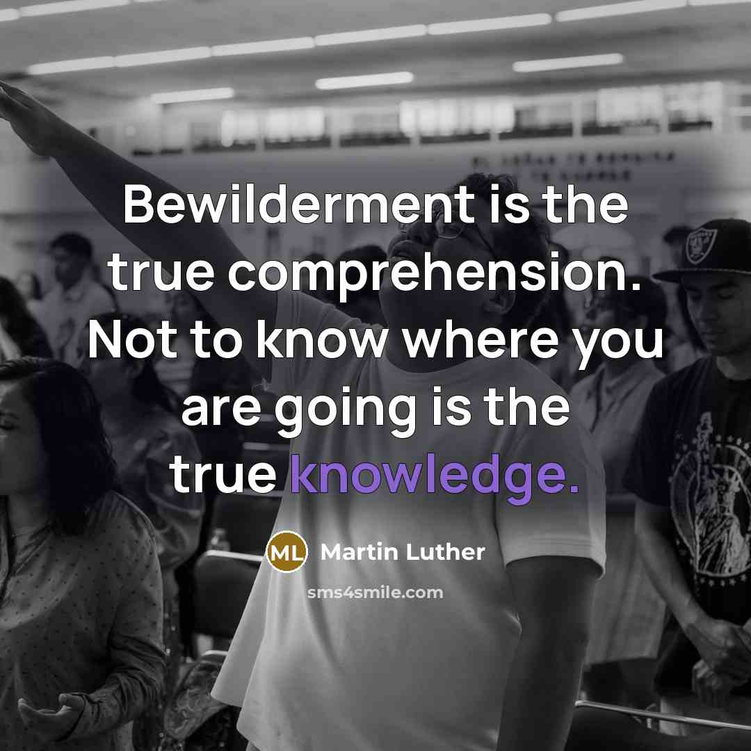 “Bewilderment is the true comprehension. Not to know where you are going is the true knowledge.” quote by Martin Luther