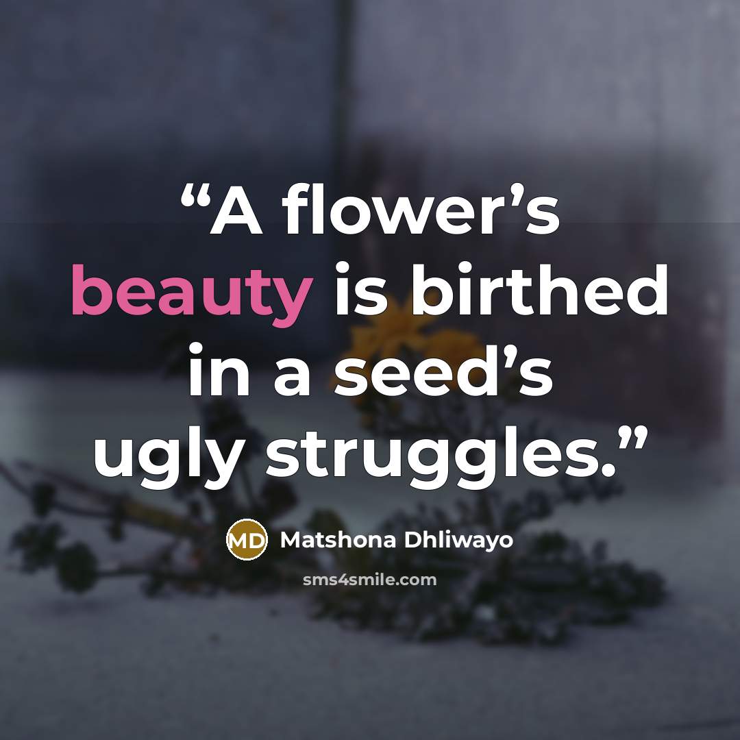 “A flower’s beauty is birthed in a seed’s ugly struggles.” quote by Matshona Dhliwayo