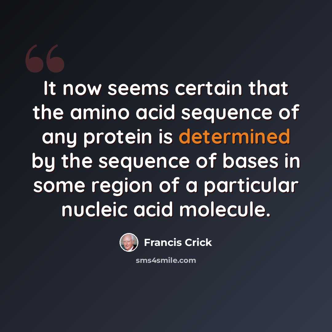 “It now seems certain that the amino acid sequence of any protein is determined by the sequence of bases in some region of a particular nucleic acid molecule.” quote by Francis Crick