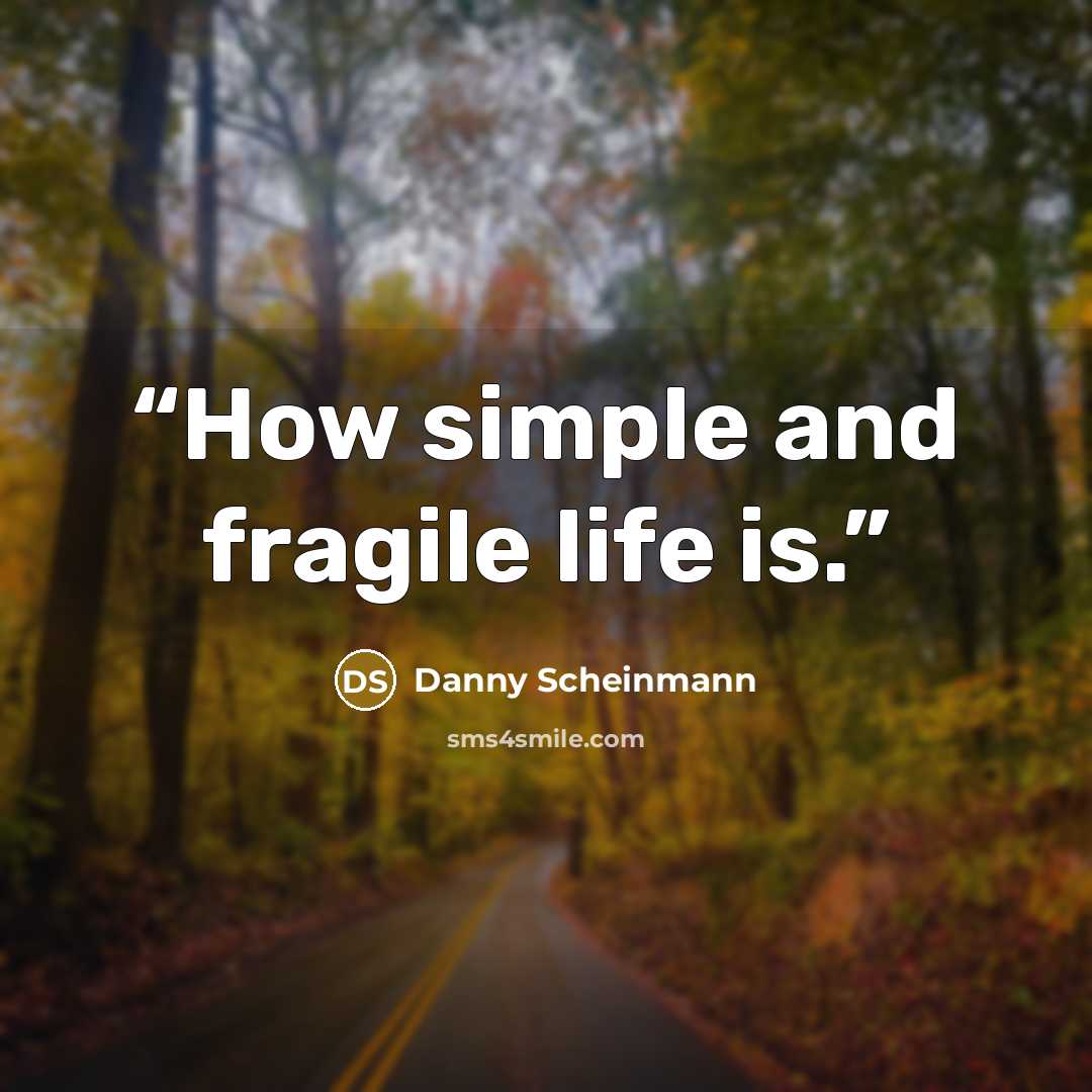 “How simple and fragile life is.” quote by Danny Scheinmann