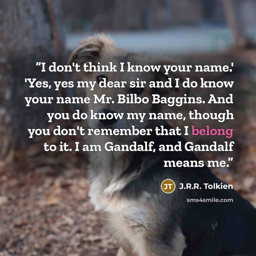 “I don't think I know your name.' 'Yes, yes my dear sir and I do know your name Mr. Bilbo Baggins. And you do know my name, though you don't remember that I belong to it. I am Gandalf, and Gandalf means me.” quote by J.R.R. Tolkien