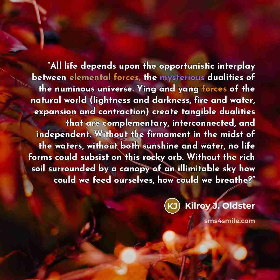 “All life depends upon the opportunistic interplay between elemental forces, the mysterious dualities of the numinous universe. Ying and yang forces of the natural world (lightness and darkness, fire and water, expansion and contraction) create tangible dualities that are complementary…” quote by Kilroy J. Oldster