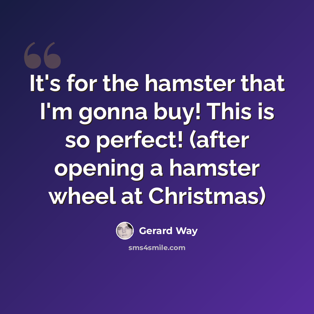 “It's for the hamster that I'm gonna buy! This is so perfect! (after opening a hamster wheel at Christmas)” quote by Gerard Way