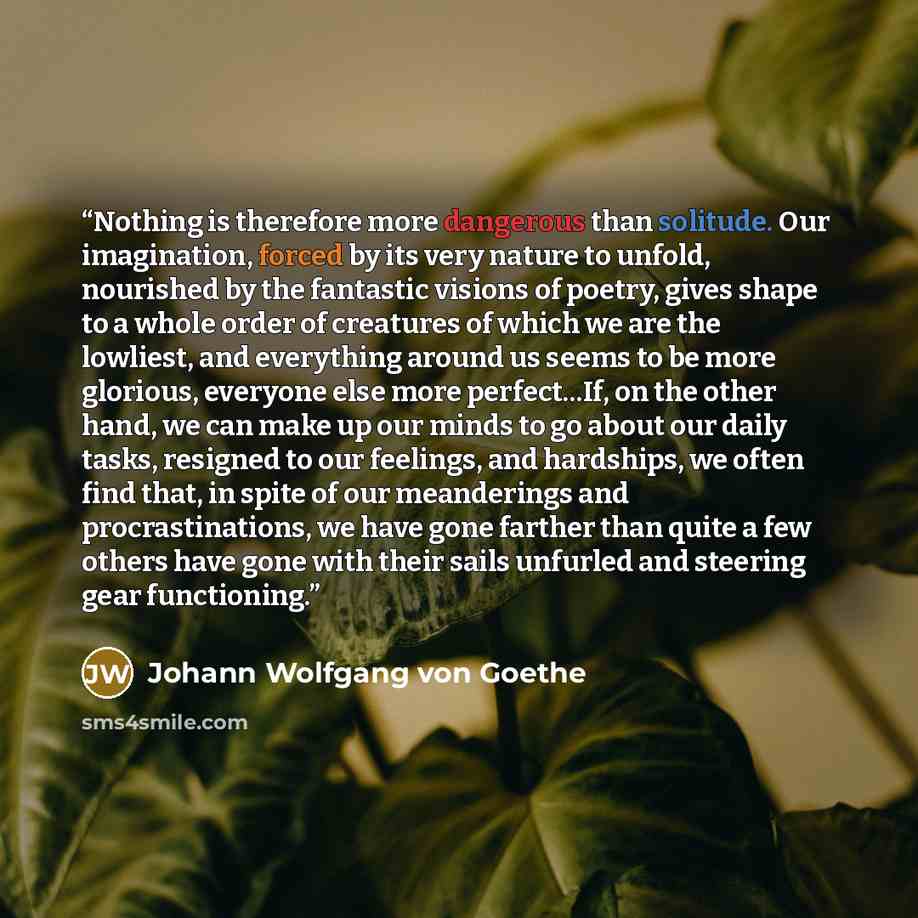 “Nothing is therefore more dangerous than solitude. Our imagination, forced by its very nature to unfold, nourished by the fantastic visions of poetry, gives shape to a whole order of creatures of which we are the lowliest, and everything around us seems to be more glorious, everyone else more…” quote by Johann Wolfgang von Goethe