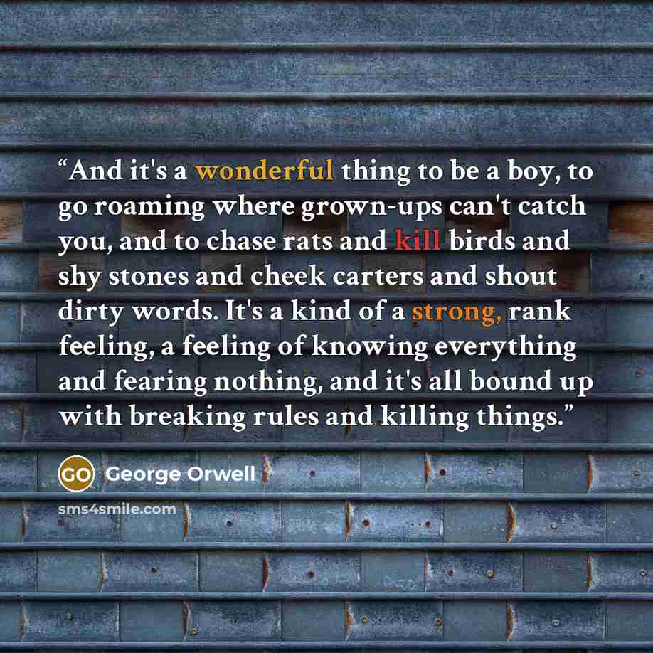 “And it's a wonderful thing to be a boy, to go roaming where grown-ups can't catch you, and to chase rats and kill birds and shy stones and cheek carters and shout dirty words. It's a kind of a strong, rank feeling, a feeling of knowing everything and fearing nothing, and it's all bound up with…” quote by George Orwell