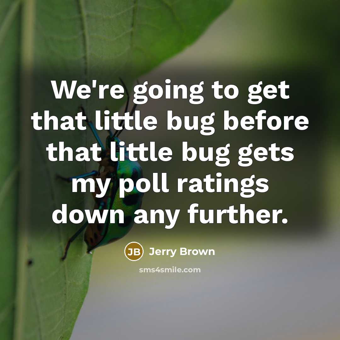 “We're going to get that little bug before that little bug gets my poll ratings down any further.” quote by Jerry Brown