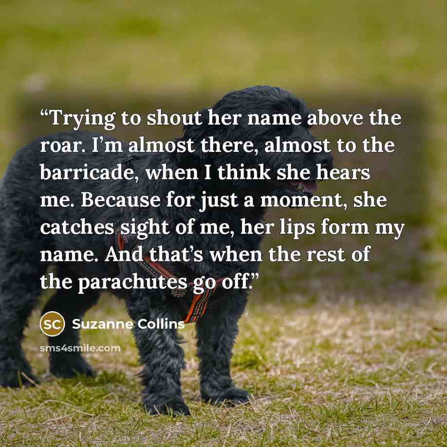“Trying to shout her name above the roar. I’m almost there, almost to the barricade, when I think she hears me. Because for just a moment, she catches sight of me, her lips form my name. And that’s when the rest of the parachutes go off.” quote by Suzanne Collins