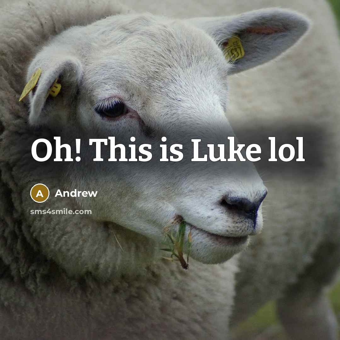 “Oh! This is Luke lol” quote by Andrew
