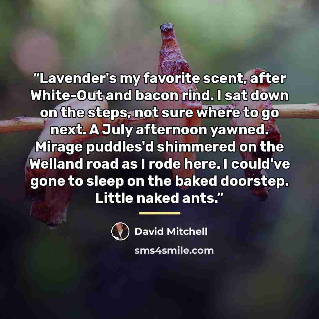 “Lavender's my favorite scent, after White-Out and bacon rind. I sat down on the steps, not sure where to go next. A July afternoon yawned. Mirage puddles'd shimmered on the Welland road as I rode here. I could've gone to sleep on the baked doorstep. Little naked ants.” quote by David Mitchell