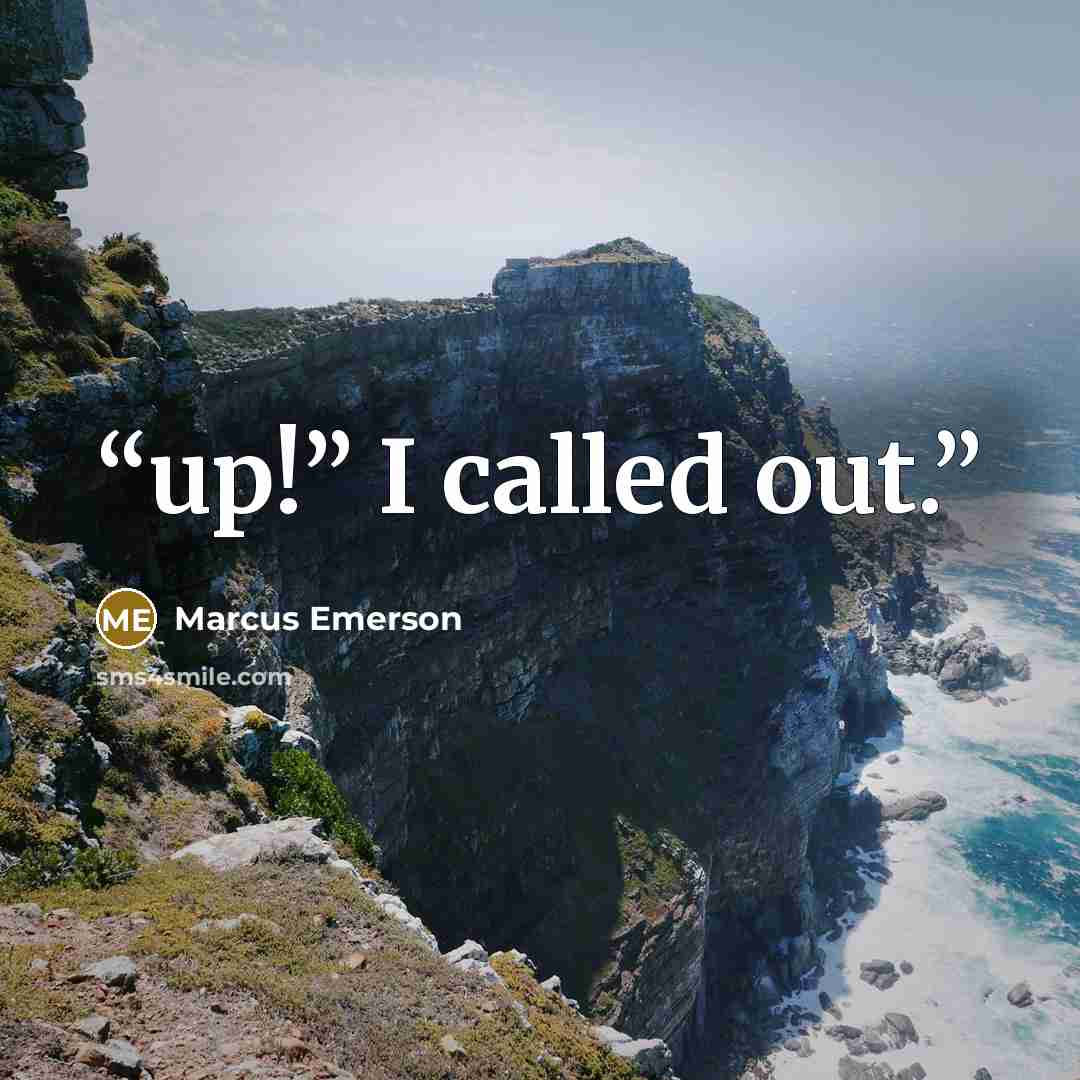 “up!” I called out.” quote by Marcus Emerson