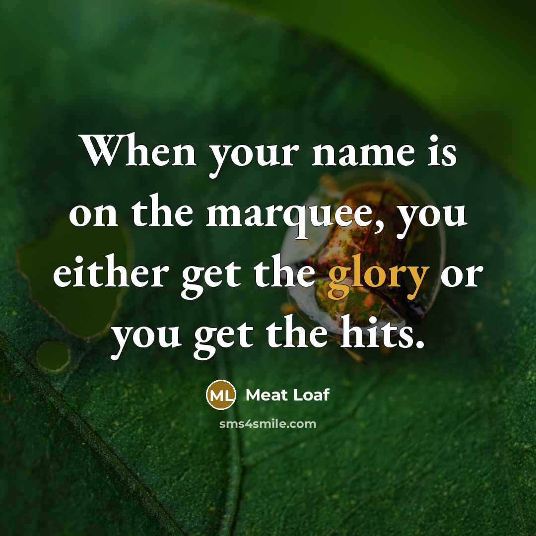 “When your name is on the marquee, you either get the glory or you get the hits.” quote by Meat Loaf