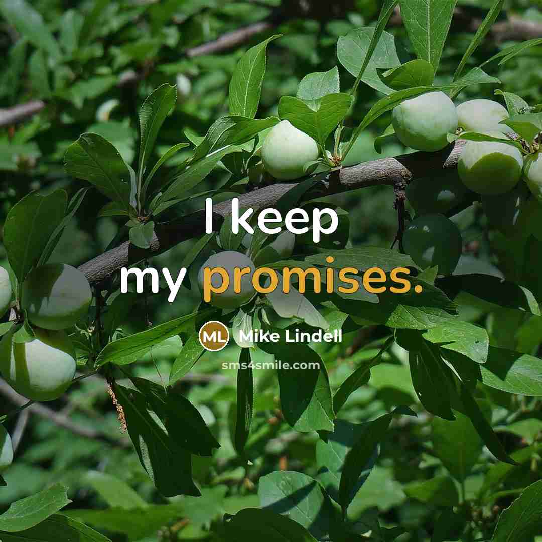 “I keep my promises.” quote by Mike Lindell