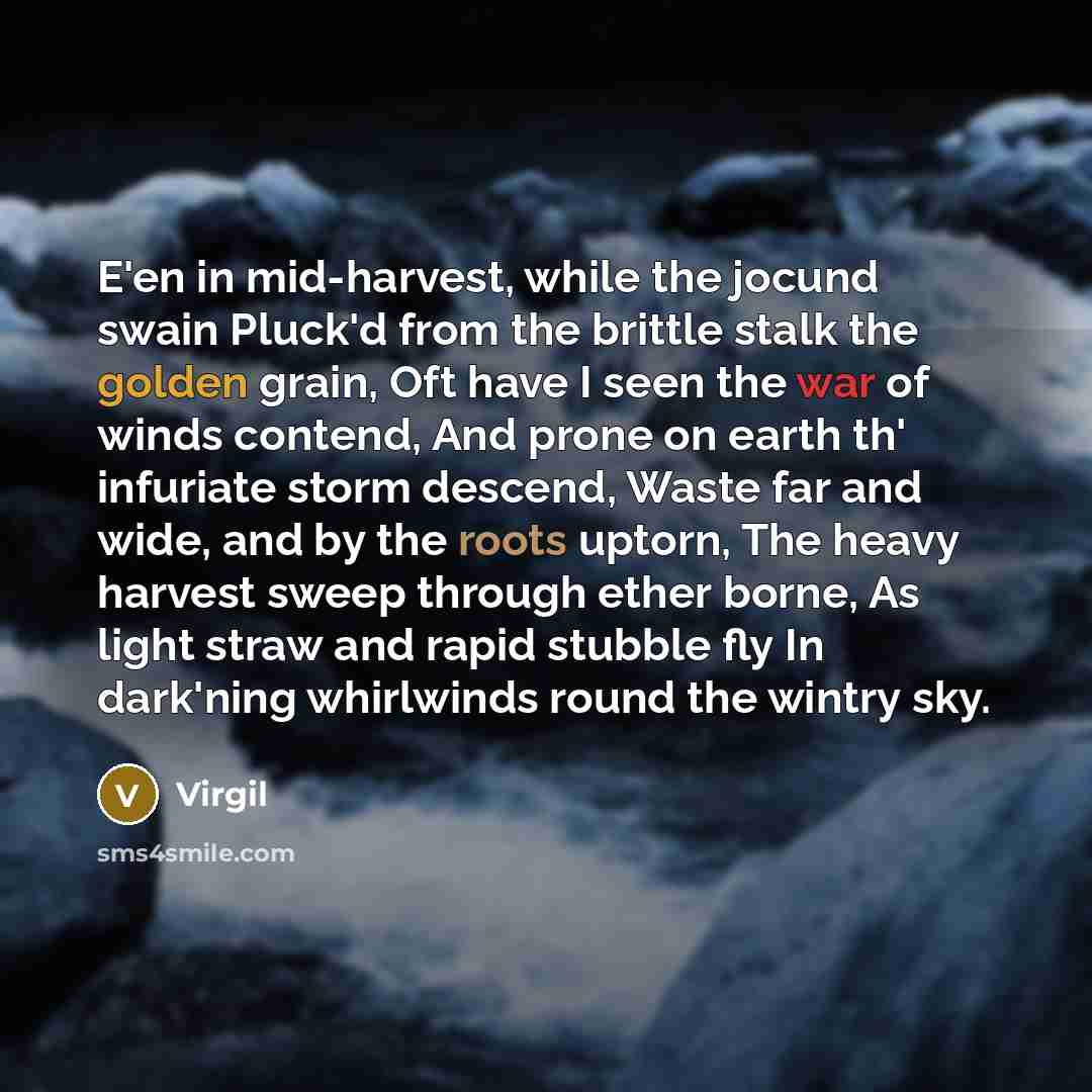 “E'en in mid-harvest, while the jocund swain Pluck'd from the brittle stalk the golden grain, Oft have I seen the war of winds contend, And prone on earth th' infuriate storm descend, Waste far and wide, and by the roots uptorn, The heavy harvest sweep through ether borne, As light straw and rapid…” quote by Virgil