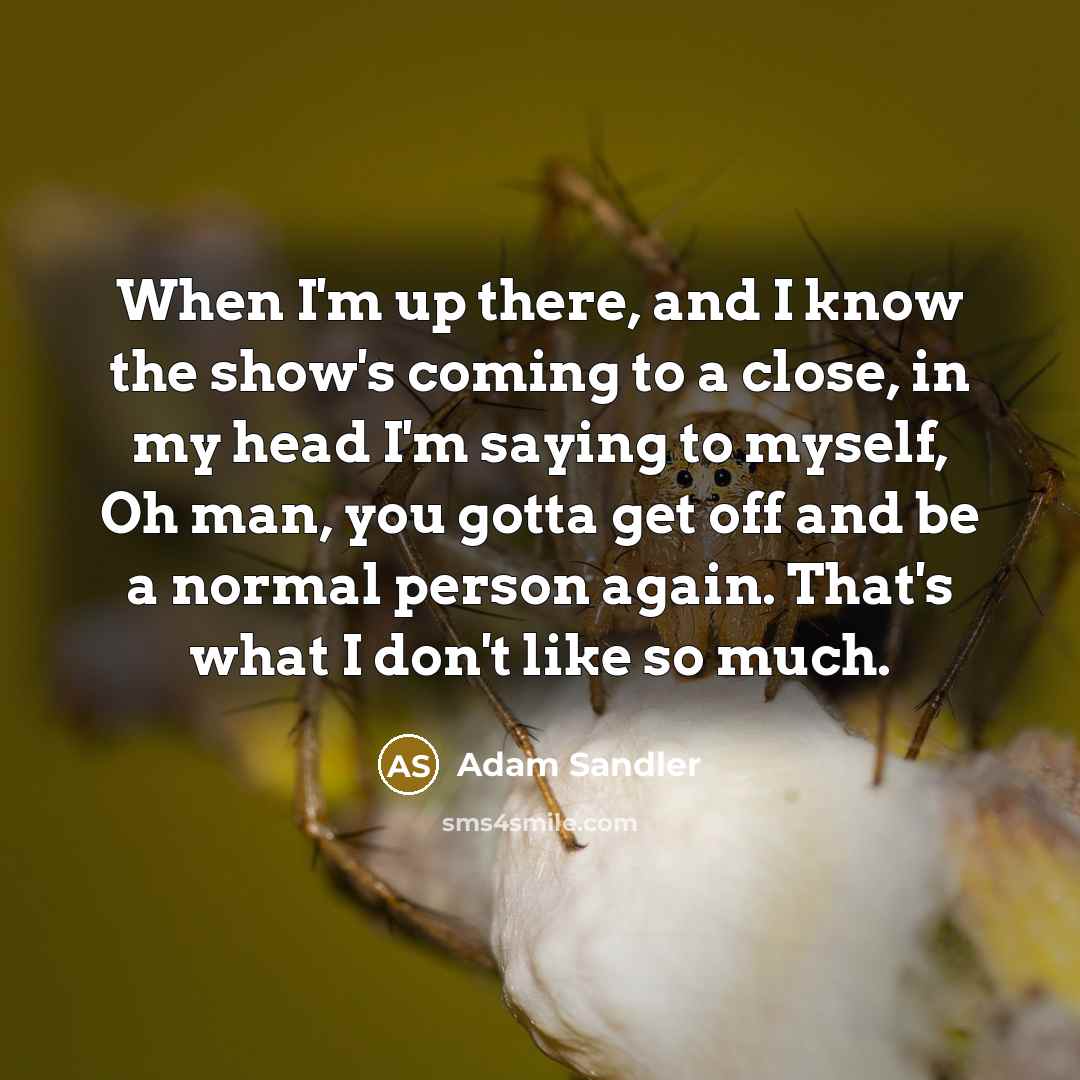 “When I'm up there, and I know the show's coming to a close, in my head I'm saying to myself, Oh man, you gotta get off and be a normal person again. That's what I don't like so much.” quote by Adam Sandler