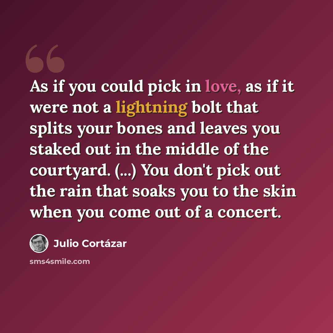 “As if you could pick in love, as if it were not a lightning bolt that splits your bones and leaves you staked out in the middle of the courtyard. (...) You don't pick out the rain that soaks you to the skin when you come out of a concert.” quote by Julio Cortazar