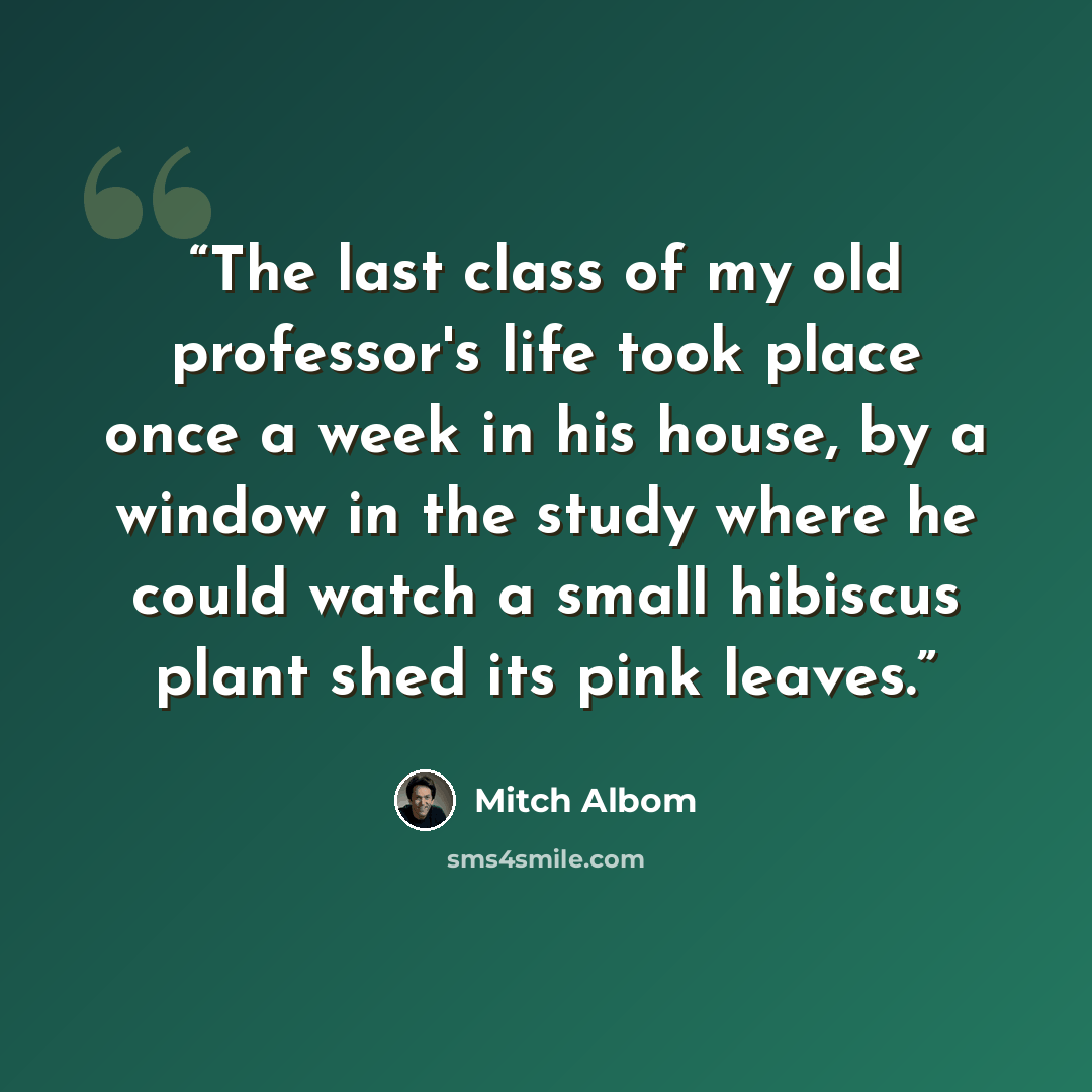 “The last class of my old professor's life took place once a week in his house, by a window in the study where he could watch a small hibiscus plant shed its pink leaves.” quote by Mitch Albom