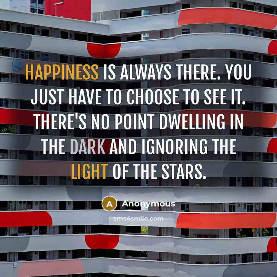 “Happiness is always there. You just have to choose to see it. There's no point dwelling in the dark and ignoring the light of the stars.” quote by Anonymous