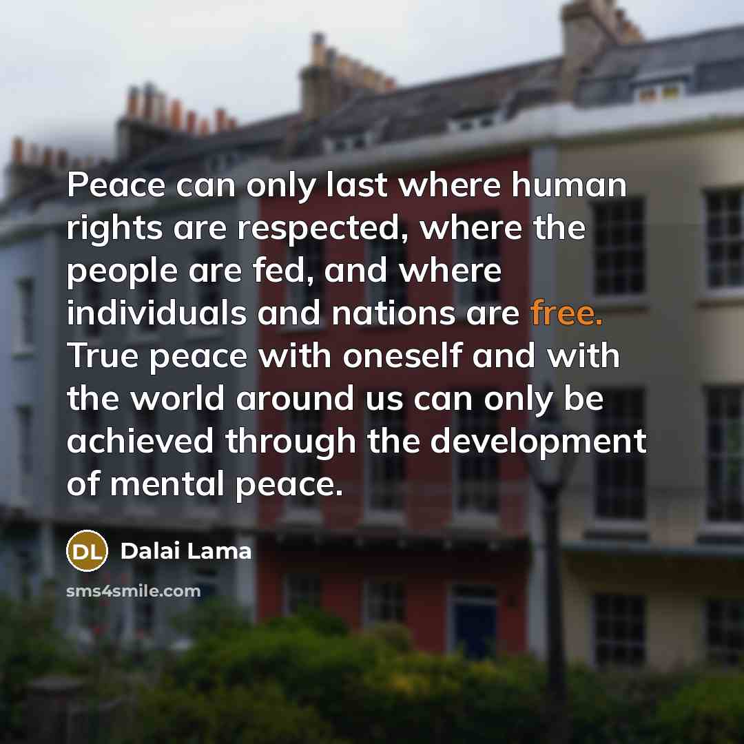 “Peace can only last where human rights are respected, where the people are fed, and where individuals and nations are free. True peace with oneself and with the world around us can only be achieved through the development of mental peace.” quote by Dalai Lama