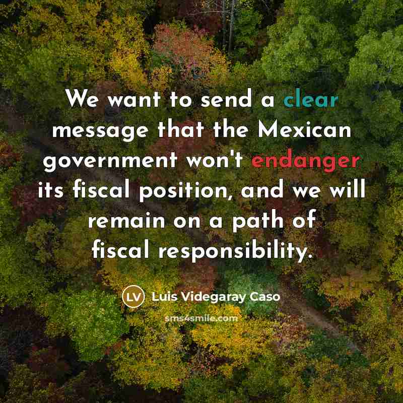 “We want to send a clear message that the Mexican government won't endanger its fiscal position, and we will remain on a path of fiscal responsibility.” quote by Luis Videgaray Caso