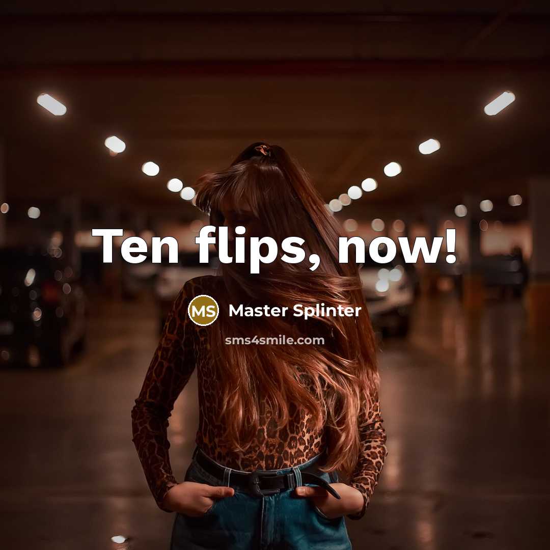 “Ten flips, now!” quote by Master Splinter