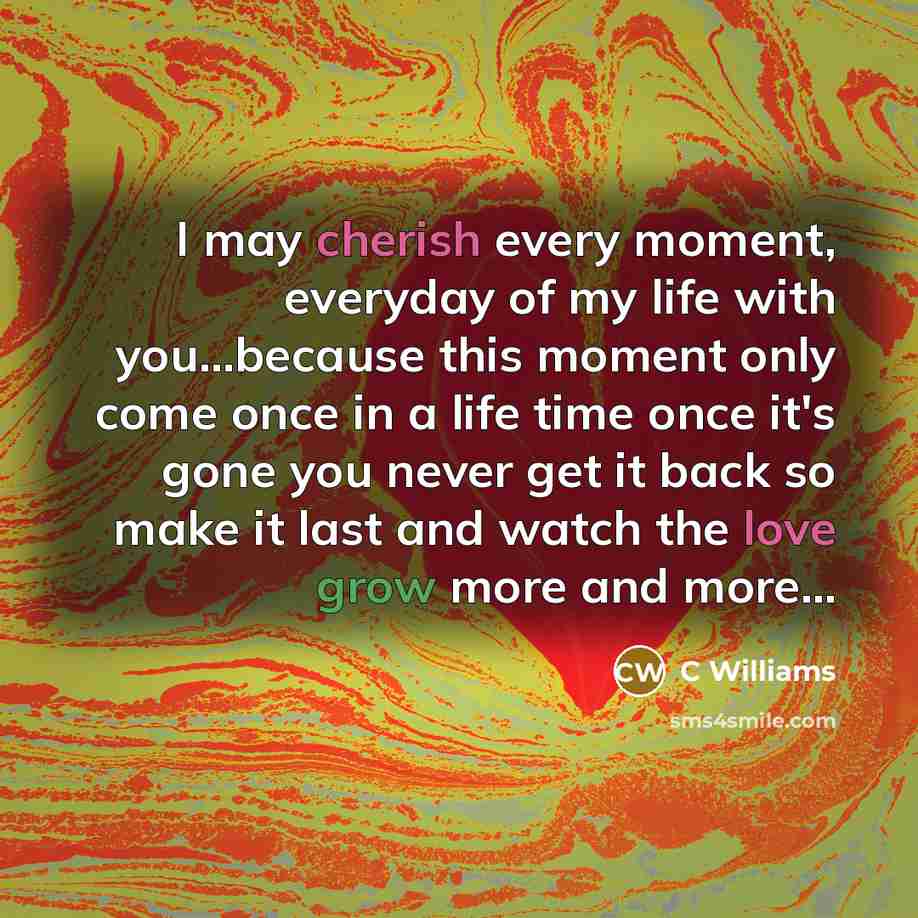 “I may cherish every moment, everyday of my life with you...because this moment only come once in a life time once it's gone you never get it back so make it last and watch the love grow more and more…” quote by C Williams