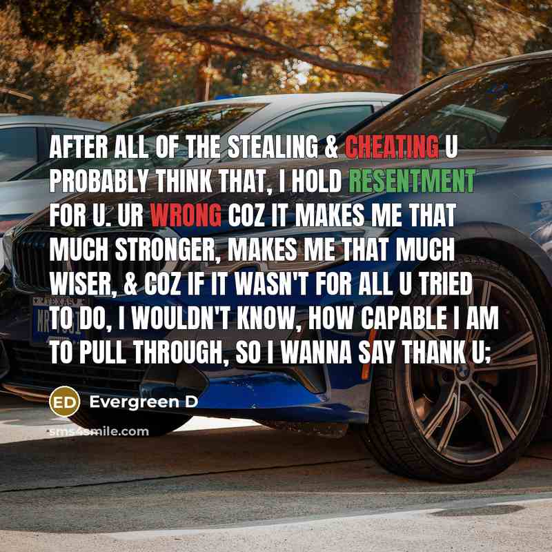 “After all of the stealing & cheating u probably think that, I hold resentment for u. ur wrong coz it makes me that much stronger, makes me that much wiser, & coz if it wasn't for all u tried to do, I wouldn't know, how capable I am to pull through, so I wanna say thank u;” quote by Evergreen D