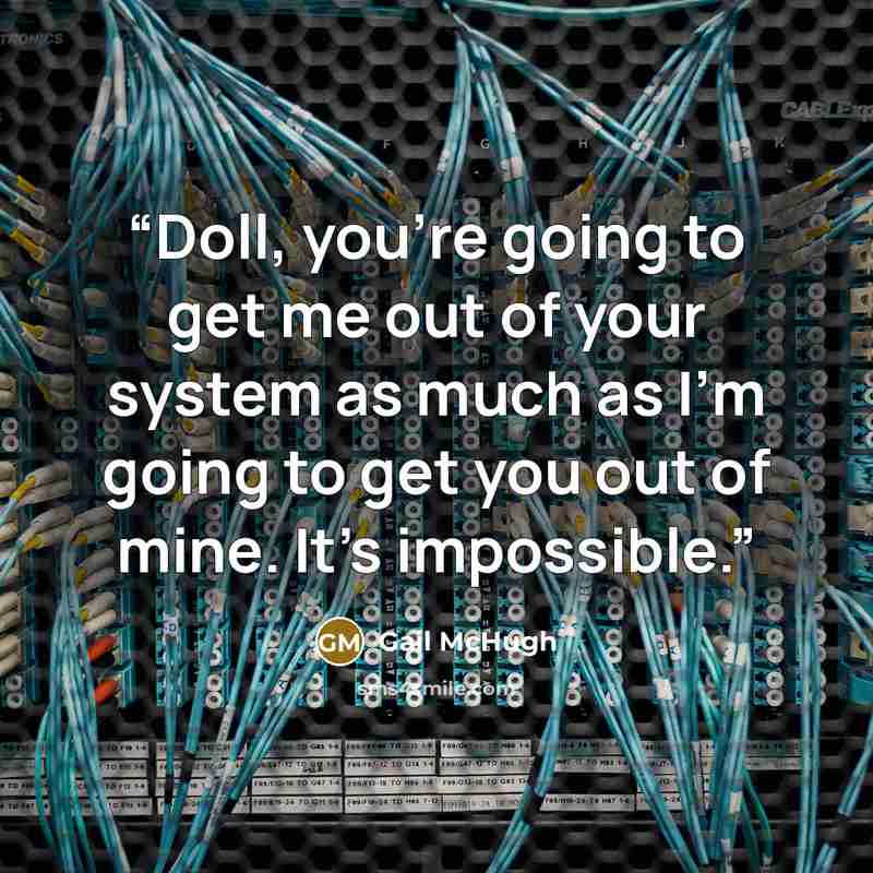 “Doll, you're going to get me out of your system as much as I'm going to get you out of mine. It's impossible.” quote by Gail McHugh
