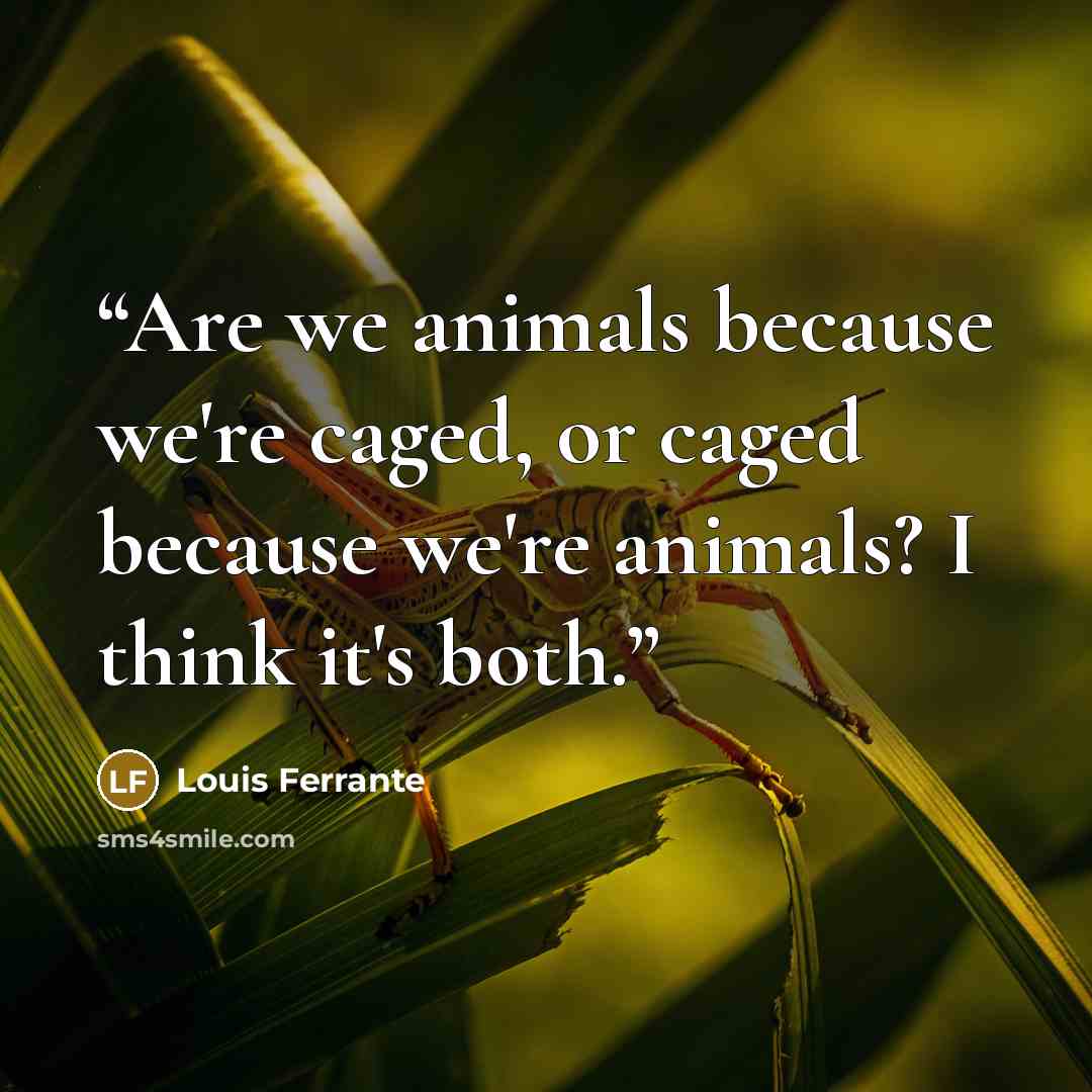 “Are we animals because we're caged, or caged because we're animals? I think it's both.” quote by Louis Ferrante