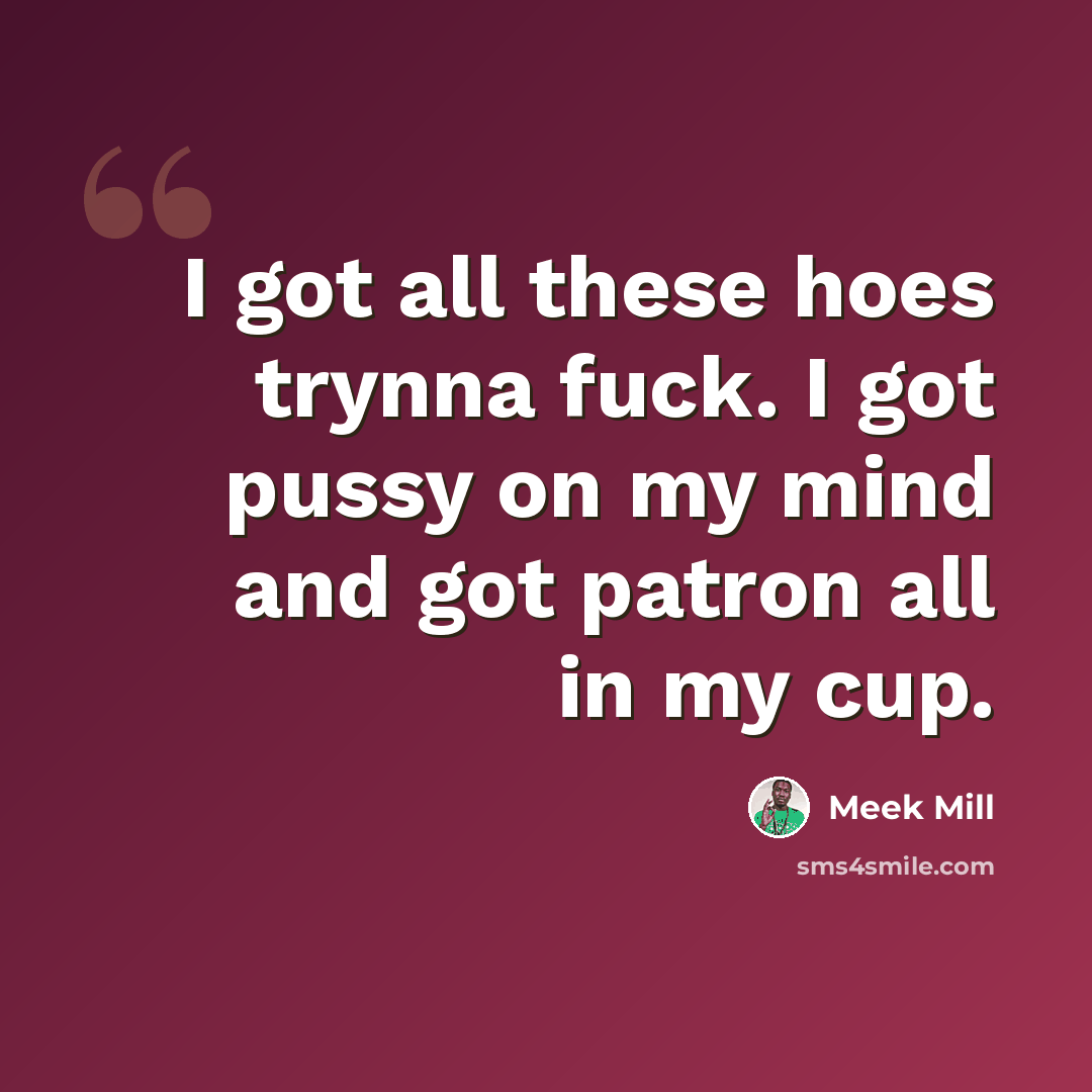 “I got all these hoes trynna fuck. I got pussy on my mind and got patron all in my cup.” quote by Meek Mill