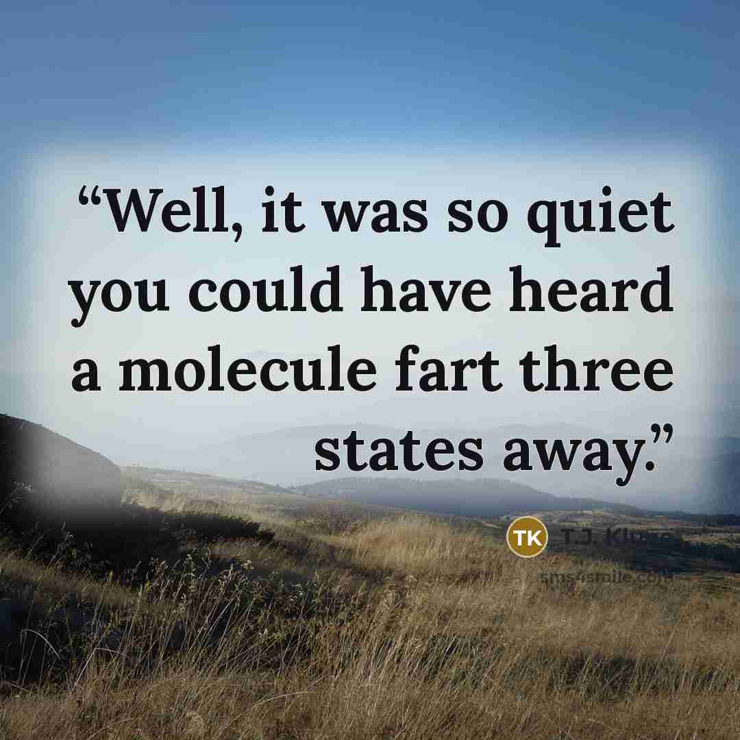 “Well, it was so quiet you could have heard a molecule fart three states away.” quote by T.J. Klune